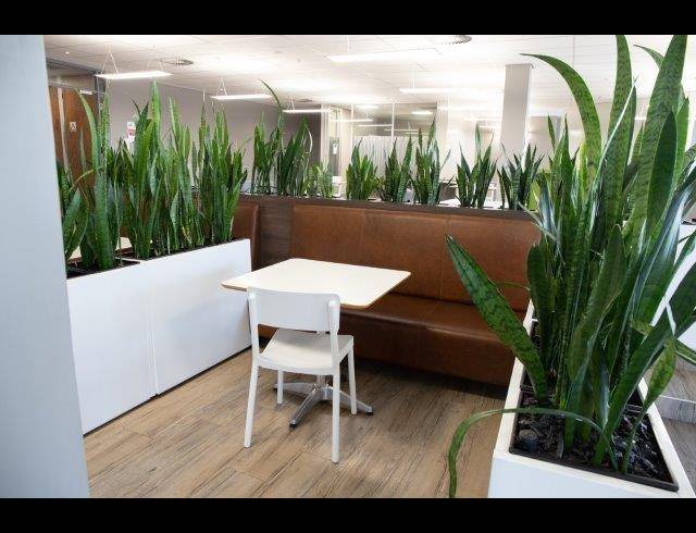 12,465M² BUSINESS CENTRE FOR SALE IN CONSTANTIA KLOOF